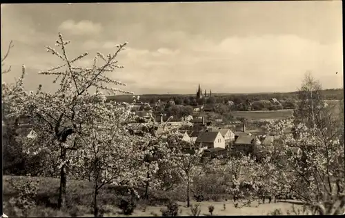 Ak Werder an der Havel, Panorama, Blick von der Wachtelburg