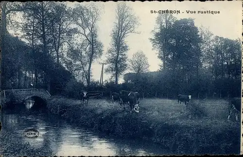 Ak Saint Chéron Essonne, Vue rustique