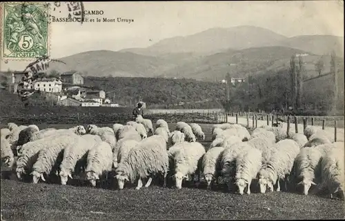 Ak Cambo Pyrenees Atlantiques, Basseboure et le Mont Ursuya