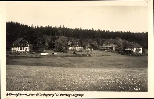 Ak Hirschsprung Altenberg Osterzgebirge, Teilansicht, Wald