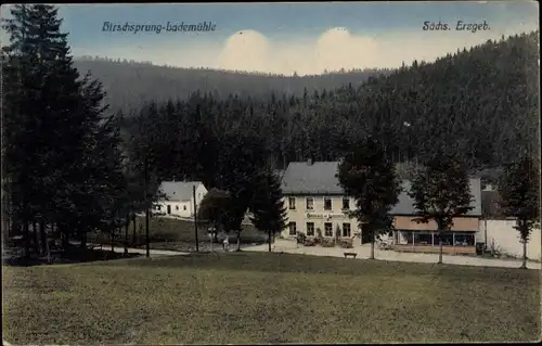 Ak Hirschsprung Altenberg Osterzgebirge, Lademühle, Wald