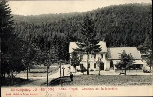 Ak Hirschsprung Altenberg Osterzgebirge, Gasthaus zur Ladenmühle, Wald
