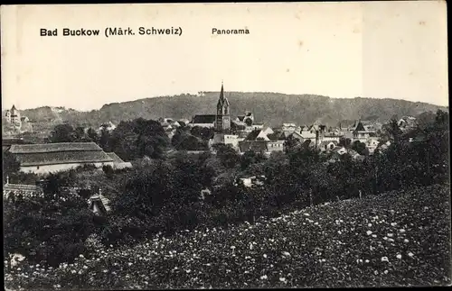 Ak Buckow in der Märkischen Schweiz, Panorama