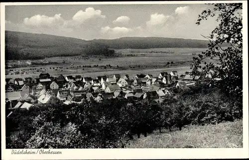 Ak Düdelsheim Büdingen in Hessen, Gesamtansicht