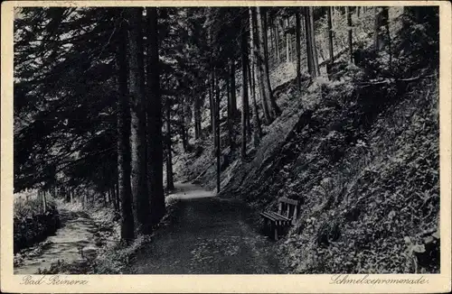 Ak Duszniki Zdrój Bad Reinerz Schlesien, Schmelzepromenade