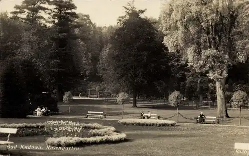 Ak Kudowa Zdrój Bad Kudowa Schlesien, Rosengarten