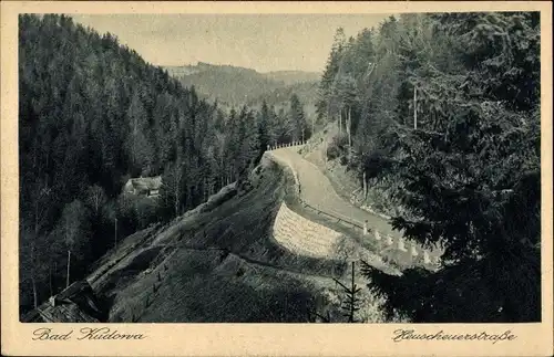 Ak Kudowa Zdrój Bad Kudowa Schlesien, Heuscheuerstraße