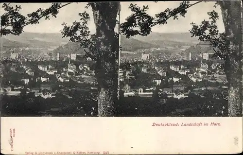 Stereo Ak Deutschland, Landschaft im Harz, Panorama