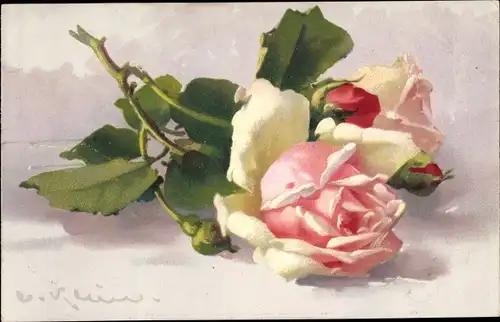 Künstler Ak Klein, Catharina, Rosen