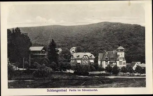 Ak Schlangenbad, Partie im Schweizertal, Hotels, Wald