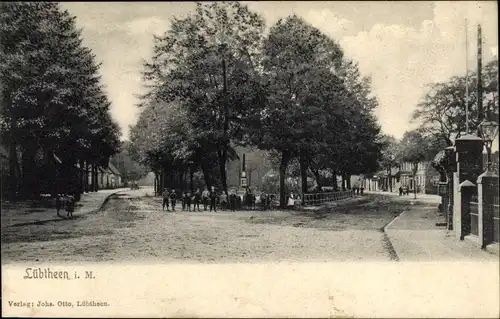 Ak Lübtheen in Mecklenburg, Teilansicht der Ortschaft