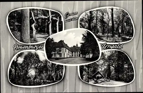 Litho Neuenburg Zetel in Friesland, Partien aus dem Urwald, Hütte