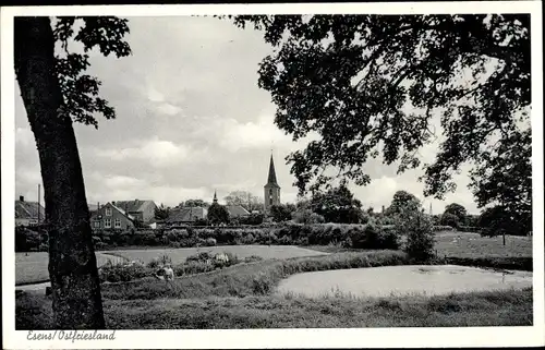 Ak Esens Ostfriesland, Wiese, Bäume, Kirche, Teilansicht