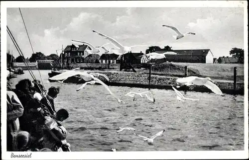 Ak Bensersiel Esens in Ostfriesland, Möwen im Flug, Häuser, Fahrgäste