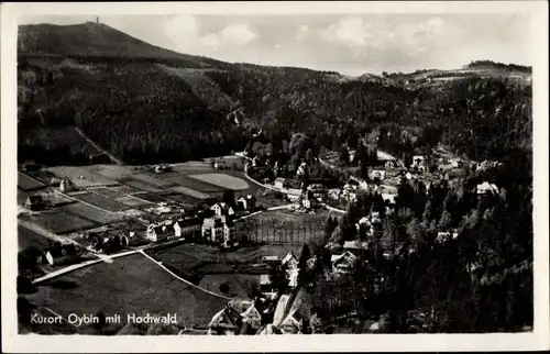 Ak Oybin in der Oberlausitz, Teilansicht mit Hochwald