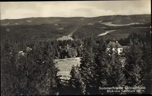 Ak Hasselfelde Oberharz am Brocken, Sommerfrische Zöbischhaus