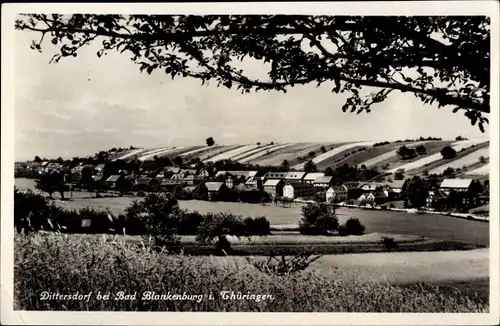 Ak Dittersdorf Saalfeld an der Saale Thüringen, Gesamtansicht