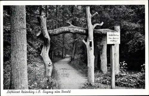 Ak Neuenburg Zetel in Friesland, Eingang zum Urwald