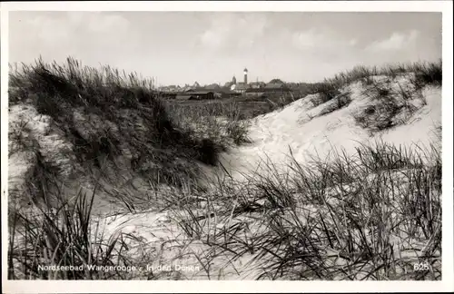 Ak Nordseebad Wangerooge in Ostfriesland, In den Dünen