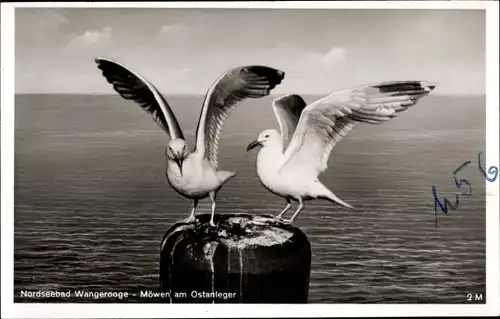Ak Wangerooge in Friesland, Nordseebad, Möwen am Ostanleger, Meer
