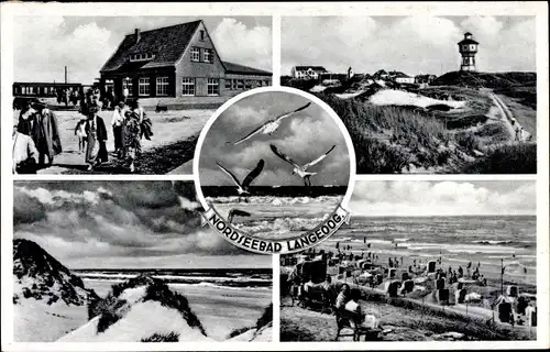 Ak Langeoog in Niedersachsen, Teilansichten, Strand, Dünen, Möwen