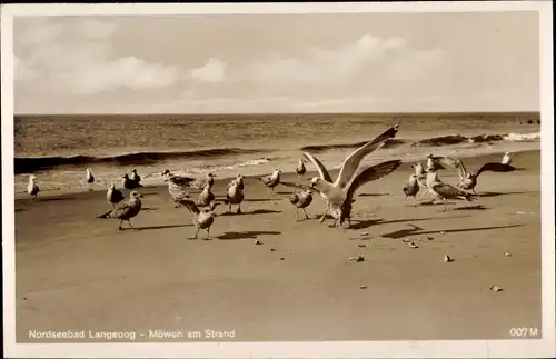 Ak Nordseebad Langeoog Ostfriesland, Möwen am Strand