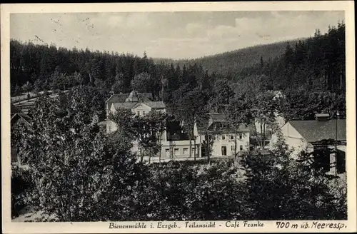 Ak  Bienenmühle Erzgebirge, Teilansicht, Cafe Franke