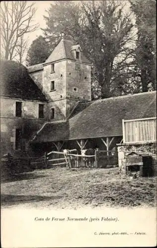 Ak Falaise Calvados, Coin de Ferme Normande