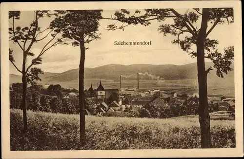 Ak Salzhemmendorf Niedersachsen, Teilansicht