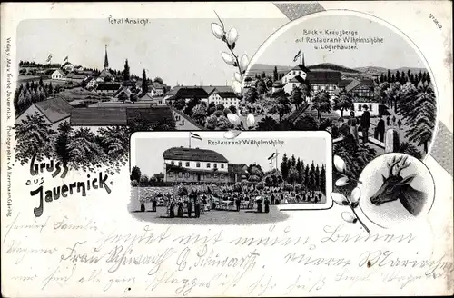 Litho Jauernick Buschbach Markersdorf Sachsen, Restaurant Wilhelmshöhe, Hirsch, Logiehäuser