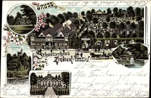 Litho Ziebigk Dessau Sachsen Anhalt, Schweizerhaus, Schloss Georgium, Wallwitzberg