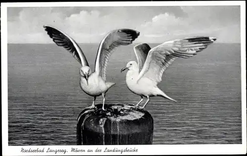 Ak Nordseebad Langeoog, Möwen an der Landungsbrücke, Meer