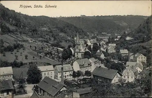 Ak Krippen Bad Schandau Sächsische Schweiz, Teilansicht