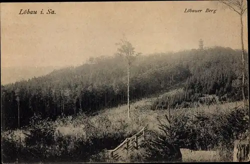 Ak Löbau in Sachsen, Löbauer Berg