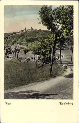 Ak Wien 19. Döbling, Kahlenberg