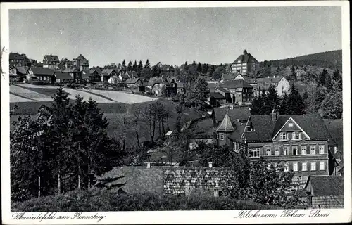 Ak Schmiedefeld am Rennsteig Suhl, Blick vom Hohen Stein