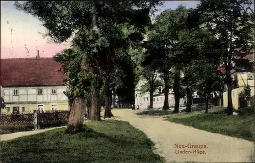 Ak Neu Graupa Pirna in Sachsen, Lindenallee