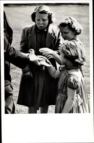 Ak Töchter der Königin Juliana von Niederlanden, Prinzessinnen Beatrix, Irene und Margriet, 1950