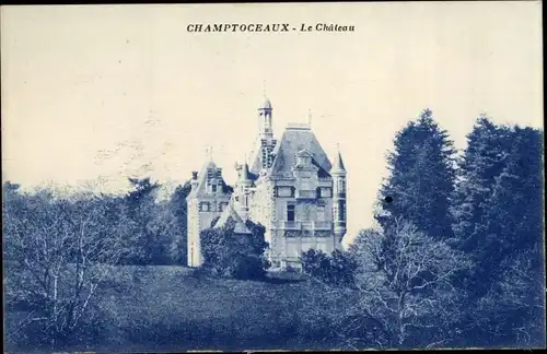 Ak Champtoceaux Maine-et-Loire, Le Chateau
