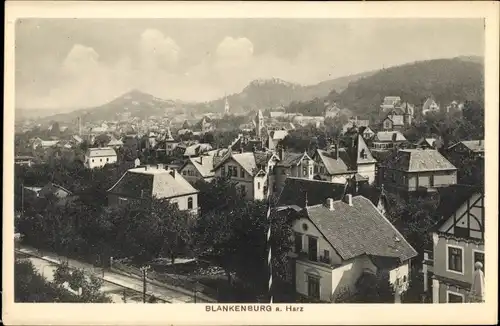 Ak Blankenburg am Harz, Blick auf den Ort