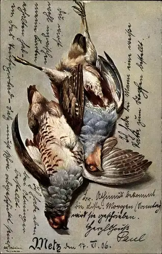 Künstler Ak Schönian, Alfred, Erlegte Vögel, Stillleben