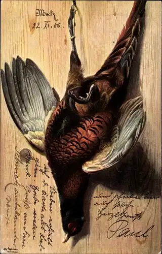 Künstler Ak Schönian, Alfred, Erlegter Vogel, Stillleben