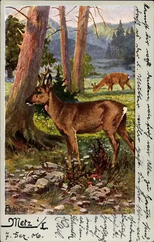 Künstler Ak Rehe auf einer Wiese