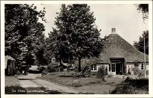 Ak Lemele Overijssel, De Olde Lucashoeve, Naturschutzgebiet Lemelerberg