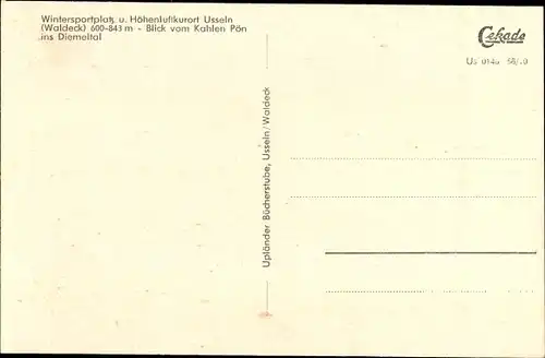 Ak Usseln Willingen im Upland Waldeck, Blick vom Kahlen Pöhn