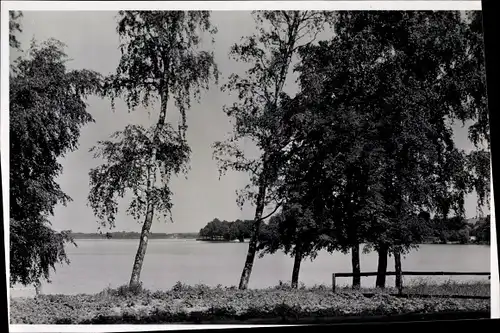 Foto Ak Czaplinek Tempelburg Pommern, Partie am Wasser, Bäume, Birken