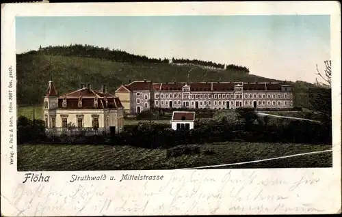 Leuchtfenster Ak Flöha in Sachsen, Struthwald, Mittelstraße