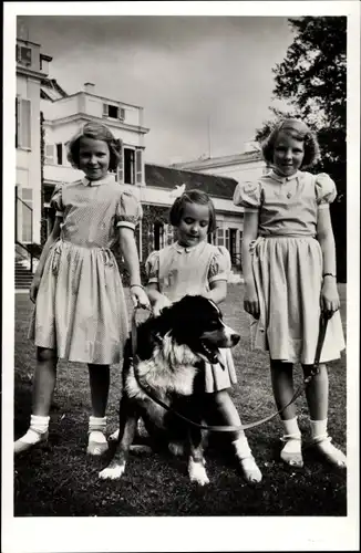 Ak Prinzessinnen Beatrix, Irene und Margriet von Niederlanden, Hund