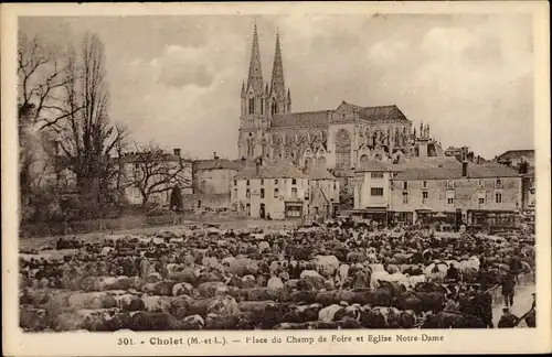 Ak Cholet Maine et Loire, Place du Champ de Foire et Eglise Notre Dame