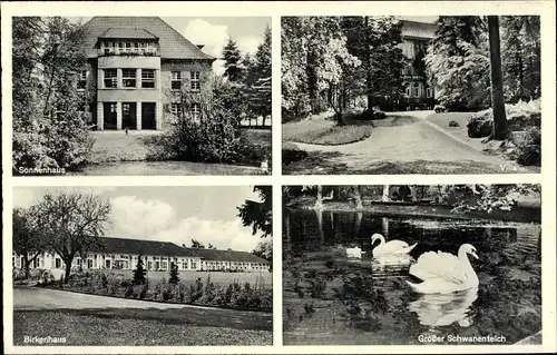 Ak Tiefenbrunn Rosdorf, Niedersächsisches Landeskrankenhaus, Sonnenhaus, Birkenhaus, Schwäne